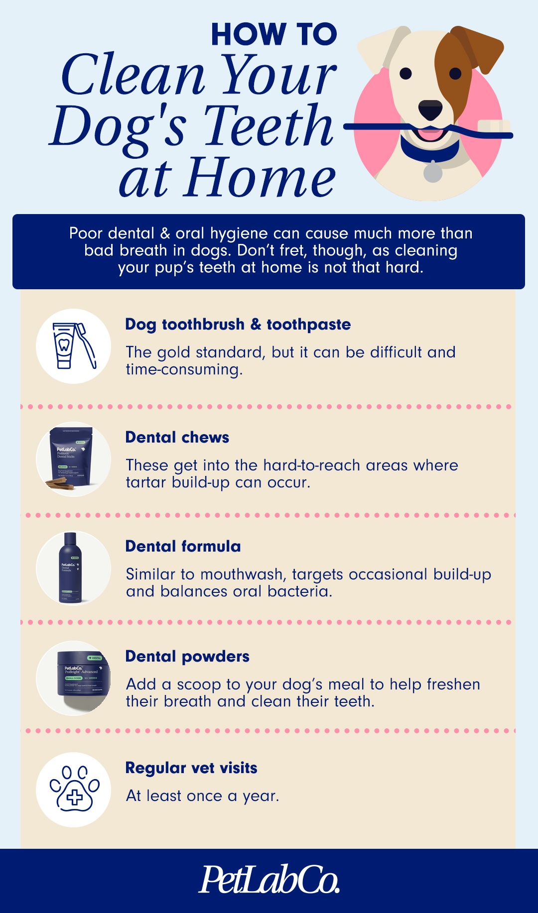 How to clean your dog's teeth at home - 4 step infographic