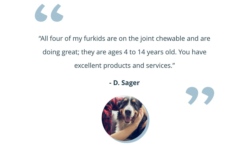 an image of a positive review from a genuine customer who has seen the benefits of the PetLab Co. Joint Care chews in their dog