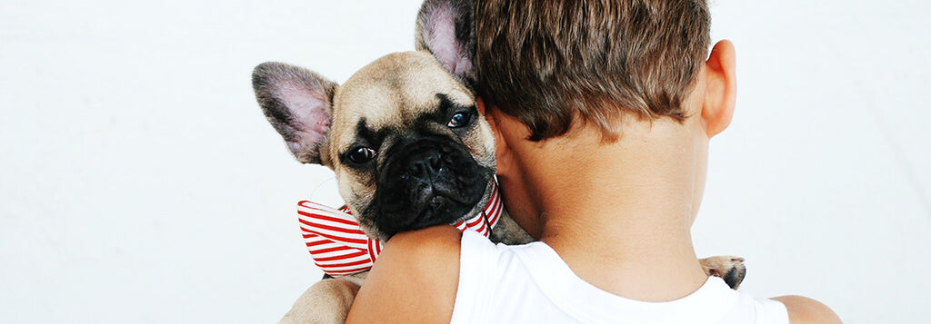 little boy hugging small french bull dog
