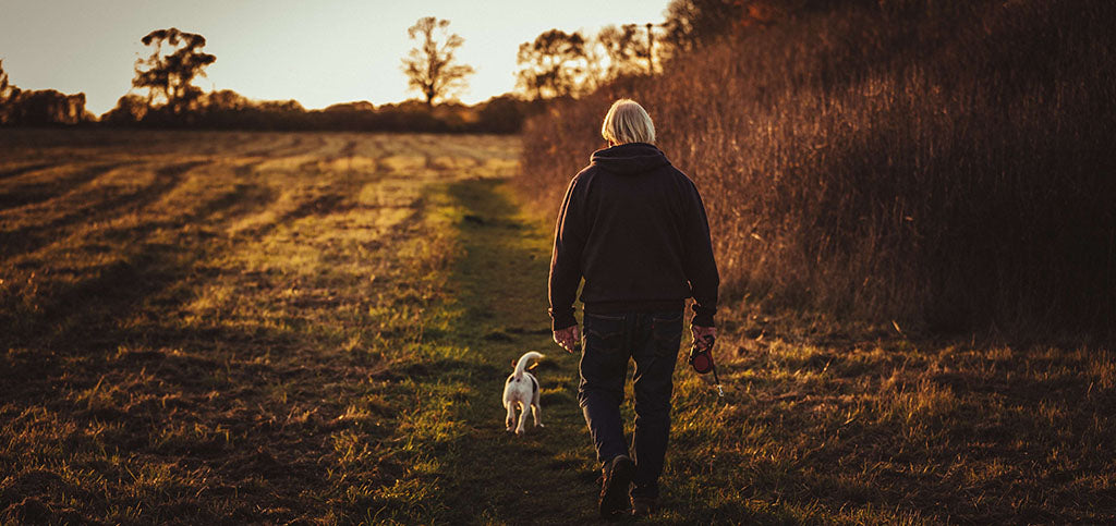 A man in dark clothes and shoulder-length grey hair walks his dog in an open field at sunset. The grass and surrounding trees glow in the setting orange sun.