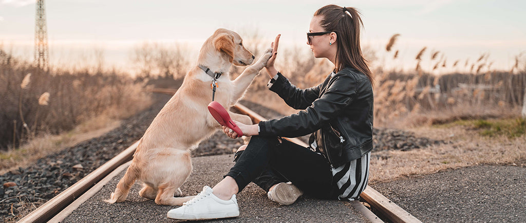 a white woman with brown hair and a black leather jacket sits on train tracks opposite a golden retriever attached to a red lead. They high five. They're surrounded by long, yellow grass
