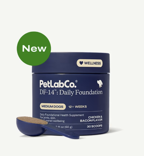 DF-14™: Daily Foundation multifunctional health powder for dogs