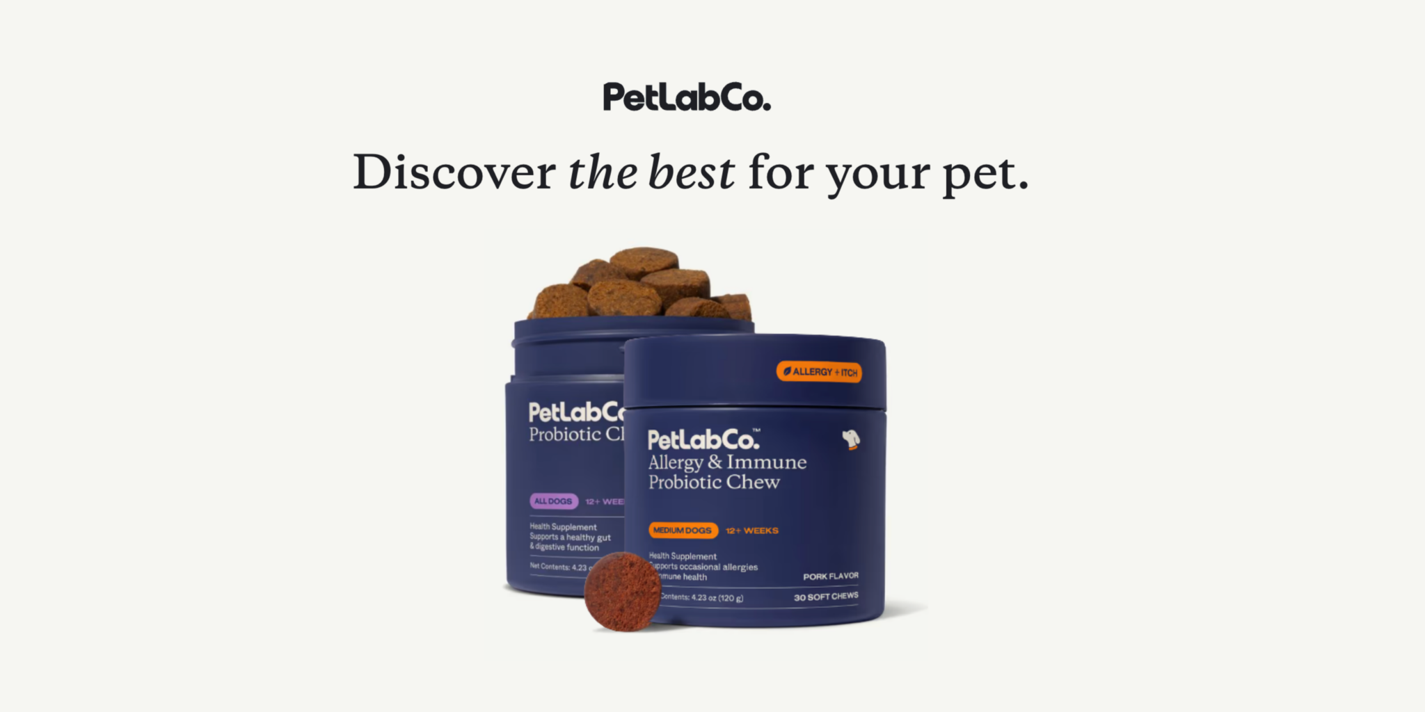 How To Take Care Of Your Puppy: A Care Guide for New Pet Parents ...